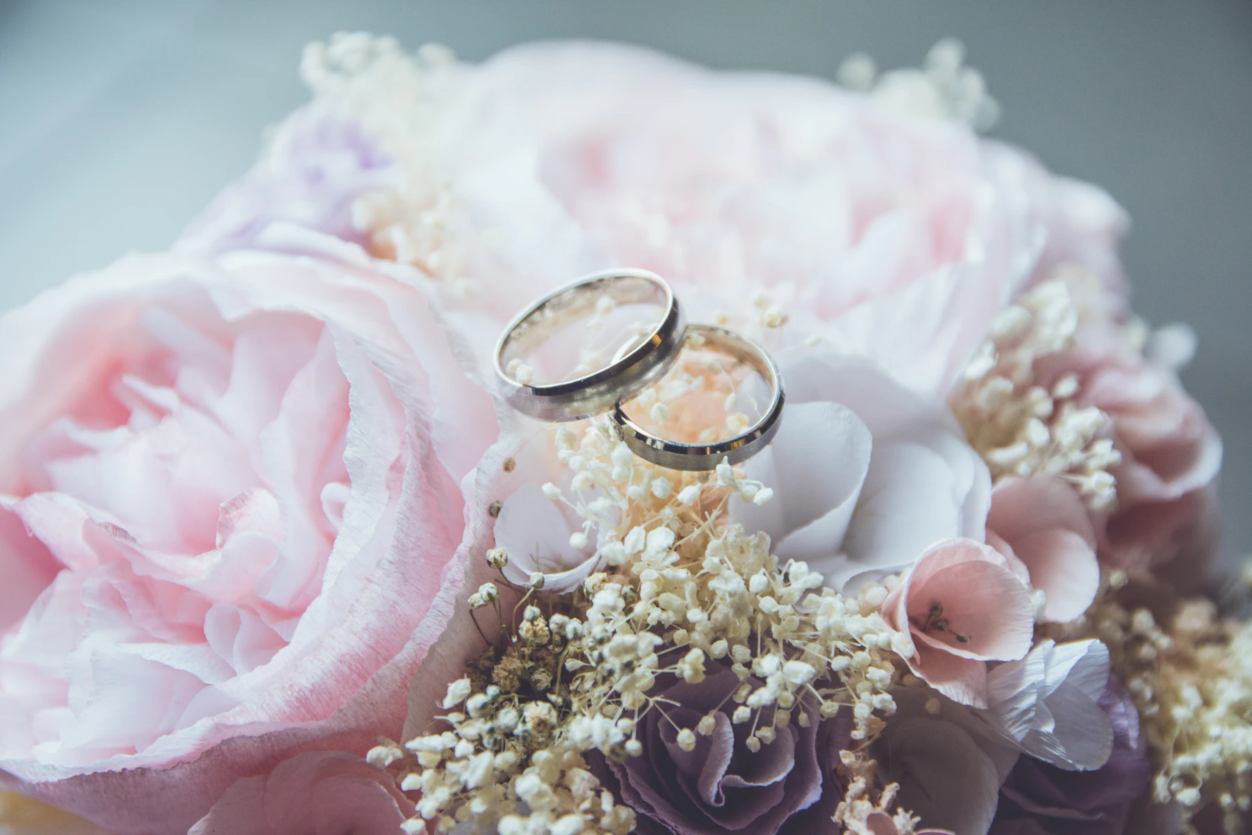 Two wedding bands resting on roses